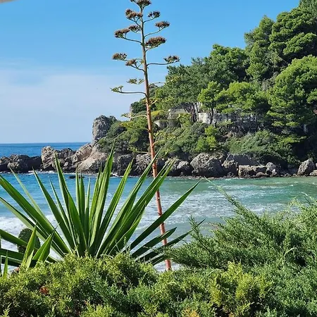 Corfu Dream Holidays Lejlighed Glifada